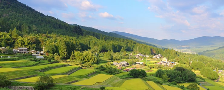 隣家との感覚が広い家々