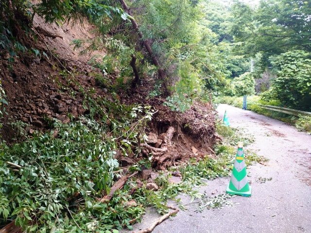 土砂災害で再度保険を見直す場合も