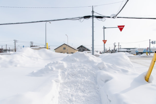 降り積もる雪