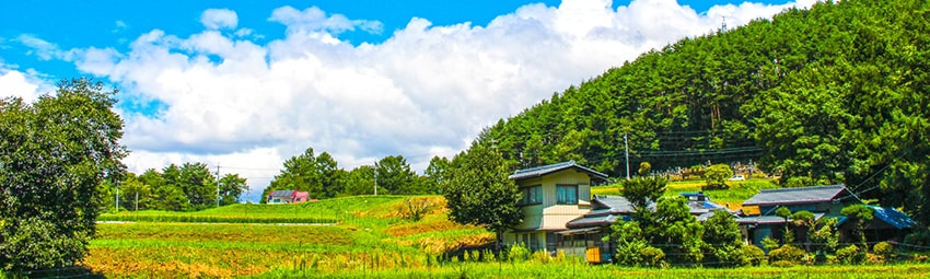 田舎の風景